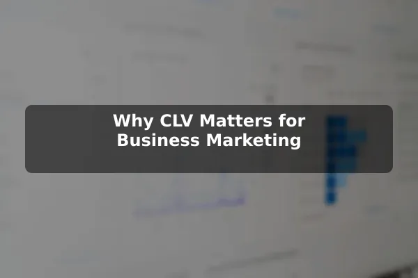 Why CLV Matters for Business Marketing