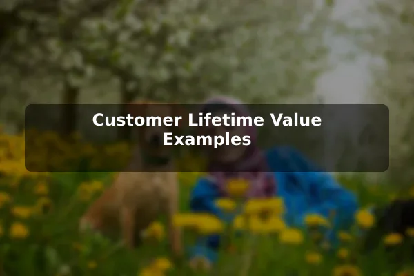 Customer Lifetime Value Examples