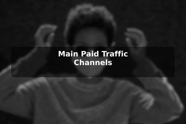 Main Paid Traffic Channels