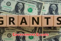 Government Grants