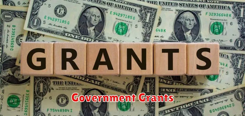 Government Grants