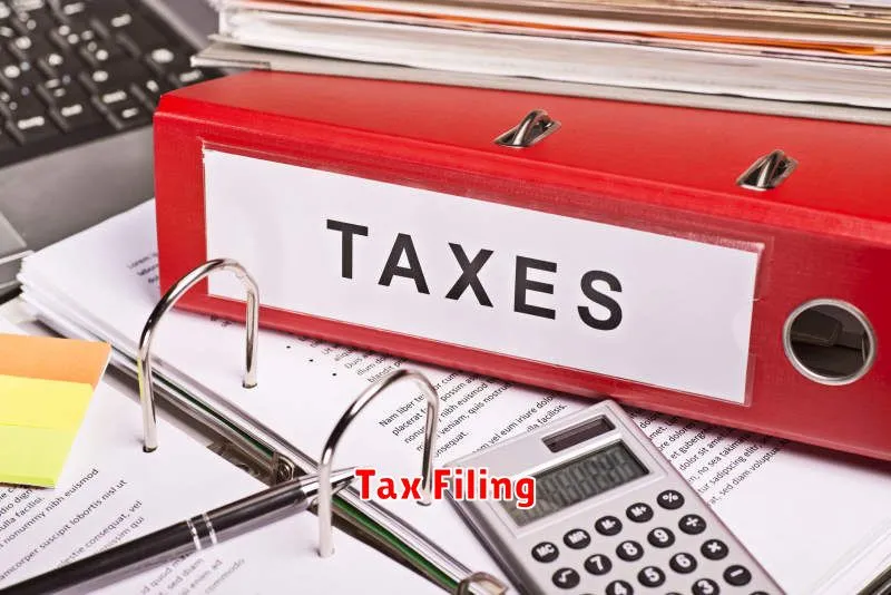 Tax Filing