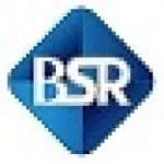 PT. BSR Indonesia (MNC Group) company logo