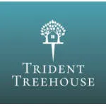 Pt. Trident Treehouse Consultancy company logo