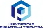 Universitas Pignatelli Triputra company logo