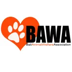 Yayasan Bali Animal Welfare Association ( BAWA ) company logo