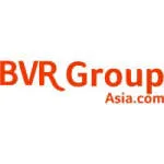 BVR Group Asia company logo