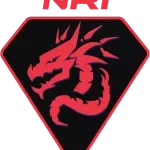 PT Naga Rubi Inovasi company logo