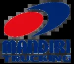 PT Mandiri Trans Utama company icon