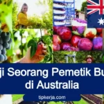 gaji petik buah di Australia