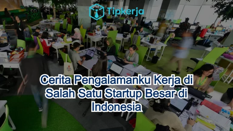 pengalaman kerja di Startup