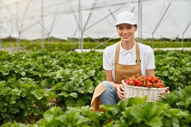 Prospek Kerja Agribisnis