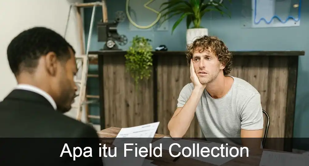 Field Collection Home Credit