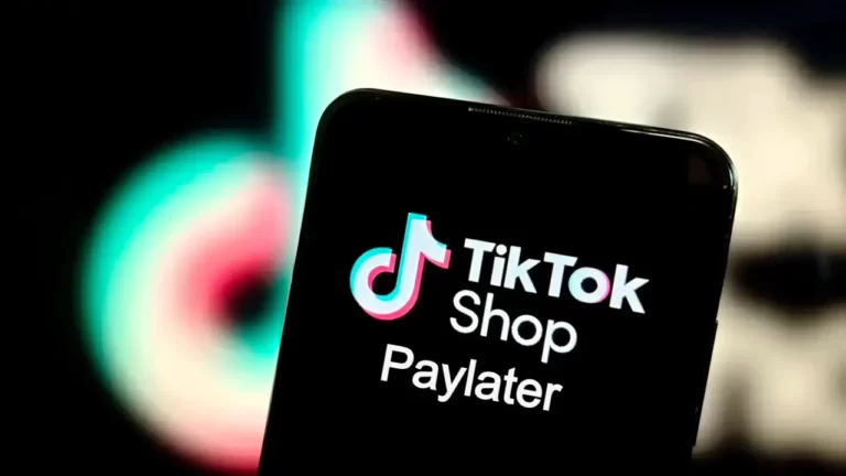 paylater tiktok