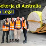cara kerja di australia secara legal