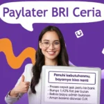 paylater bri ceria