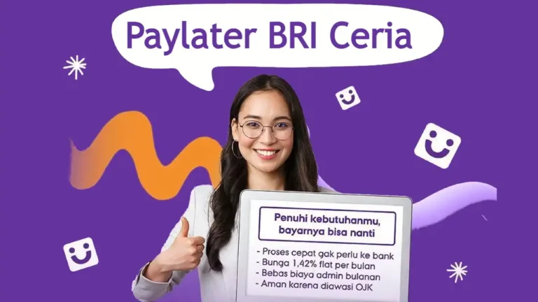 paylater bri ceria