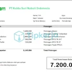 PT Kaldu Sari Nabati Indonesia