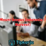 PT Mount Scopus Indonesia (The Harvest)