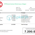 PT Panen Lestari Internusa (Sogo)