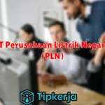 PT Perusahaan Listrik Negara (PLN)